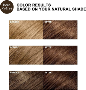 EELHOE Shampoo Tinta Negra 3 en 1